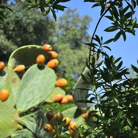 Appartamento Casa Gorgole Ostuni Esterno foto